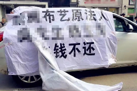 黄平为什么选择专业追讨公司来处理您的债务纠纷？